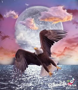 100K views · 18K reactions | #motiongraphics #motionart #fyp #foryou #art #artistsoninstagram #trending #artist #artwork #challenge #movingpictures #artoftheday | Biker Life | Facebook