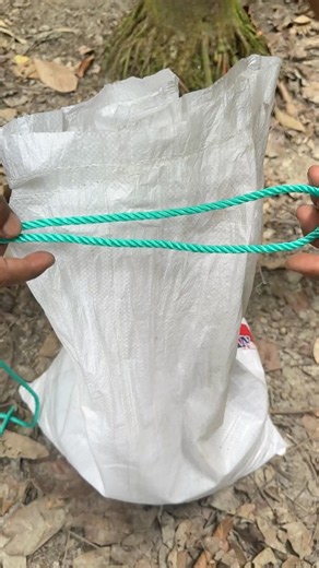 Important Knots in Life✅