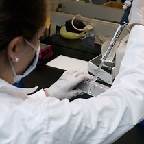 Video: High-Resolution Mapping of Protein-DNA Interactions in Mouse Stem Cell-Derived Neurons using Chromatin Immunoprecipitation-Exonuclease ChIP-Exo