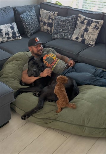 POV: You bought one chair… and now the whole house wants it. 😅 Big dogs. Small dogs. Kids. Friends. Your partner. Even you. This Zoneli Bean Bag Chair somehow fits everyone. Super soft, crazy comfortable, and big enough for the whole crew to pile in. They come in different colors and sizes, so it actually fits whatever vibe you’ve got going in your house. If you want the most fought-over seat in the house, check them out in the orange cart below. #dogsoftiktok #bigdogenergy #dogdadlife #homecom