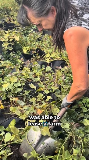 7.3K views · 190 reactions | ‍ Women play a crucial role in ensuring the sustainability of rural households and communities, improving rural livelihoods and overall well-being. It’s time to make agrifood systems work better for women.  Watch Jeannie's story of innovation and resilience #RuralWomen #RuralWomenDay | Food and Agriculture Organization of the United Nations (FAO) | Facebook