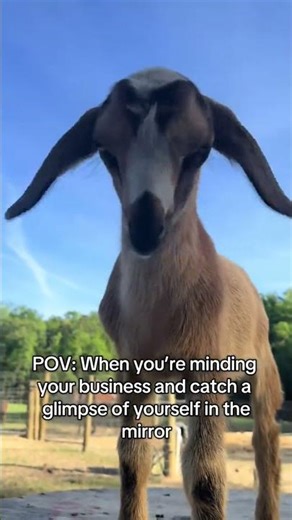 POV: When you’re minding your business and catch a glimpse of yourself in the mirror