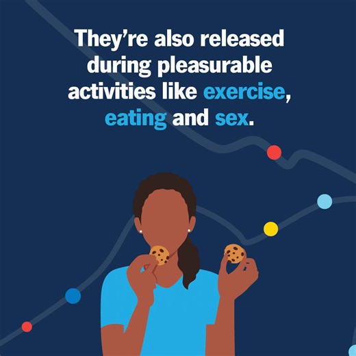 2.3K views · 21 reactions | Endorphins are released when your body...