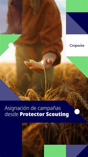 Syngenta Argentina on Instagram: "¡Te contamos otro Cropwise tip! 📲 Ahora podés administrar tus campañas, desde el campo, de forma simple y ordenada. 👉 Mirá el video y seguí el paso a paso. #Cropwise #AgriculturaDigital"