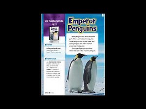 Emperor Penguins (Read Aloud)