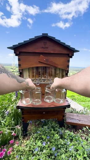 Black & Yellow Friday Beekeeping Offer