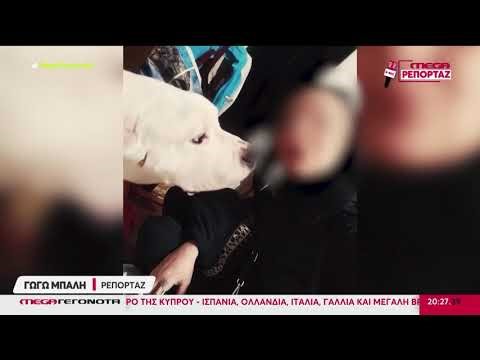 ΔΟΛΟΦΟΝΙΑ: Κολωνός Στη - Συνελήφθη ο δράστης