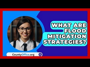 What Are Flood Mitigation Strategies? - CountyOffice.org