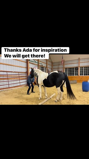 11K views · 150 reactions | Part of a harder task. One step or jump at a time! #fypシ゚viralシfypシ゚ #horsesoftiktok #thejoyofhorses #horsesoftiktok #horse | Joy Mackay Gallupe | Facebook