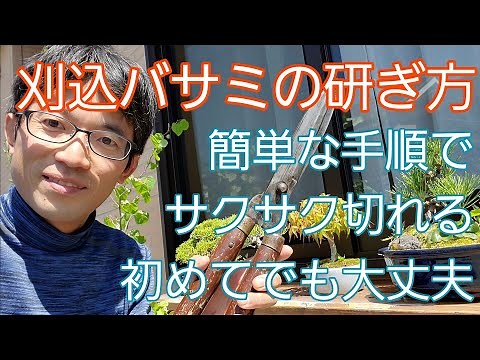 【刈込バサミの研ぎ方】初めてでも簡単に出来て、よく切れます🍃✨