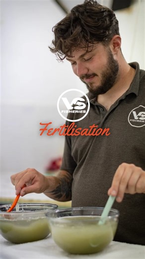 220K views · 7.1K reactions | The new generation are on the way! ...