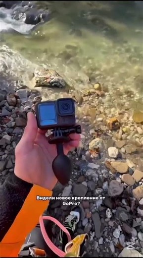 🐔 Chicken screaming on a tree branch! 🤣🆕 #funnychicken #memes #animalsounds #crazybird#funny #humor
