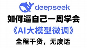 【全套付费！】这绝对是B站最全最细的AI大模型微调教程，2025最新版，全程干货无废话！小白七天就能从入门到精通，别再走弯路了，学完即可就业！