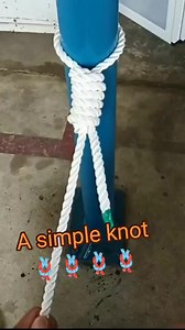 Intro Cooking on Reels