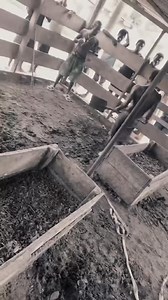 Thief caught stealing and made to work | Newsfluence