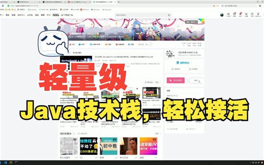 2024轻量级Java技术栈，以项目驱动，小而精，轻松达到接活水平