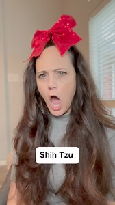 Dogs Playing Truth or Dare 😆 #funnyshit #hilarious #dogs | Michelle Caluneo