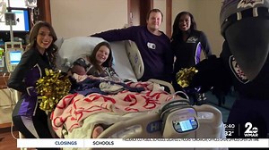 Meet the newest members of the Ravensflock