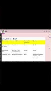 Cranial Nerves Basics | 3D Anatomy Tutorial
