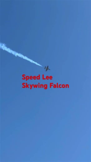 RC Jets Skywing Falcon at Apollo Field 2/14/26