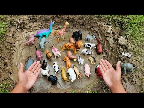 WILD ANIMALS IN MUD! 🐅🦒 Rescue and Wash Time Fun Learning Video for Children