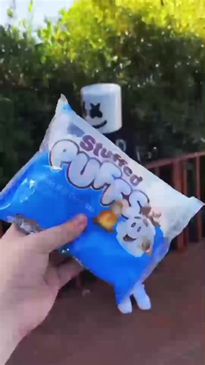 Indulge in Stuffed Puffs: A Sweet Dessert Experience