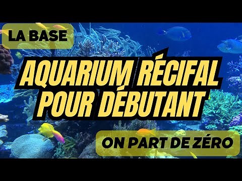 EP.1 Reef Aquarium - The Basics - Where to Start - Tutorial for Beginners in Saltwater
