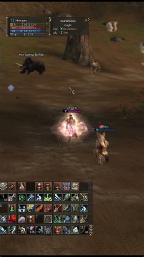 Adventurer pvp dagger L2 Lineage 2 #lineage2 #games #l2community #l2 #gaming #gameplay #l2interlude