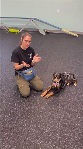 Teach "Wave" In Under 30 Seconds