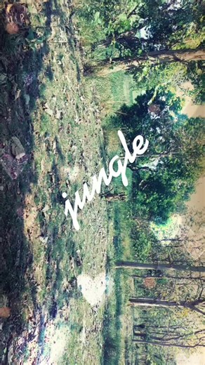 #jungle