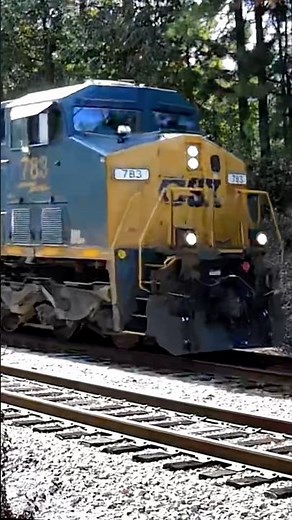 Fast CSX intermodal train