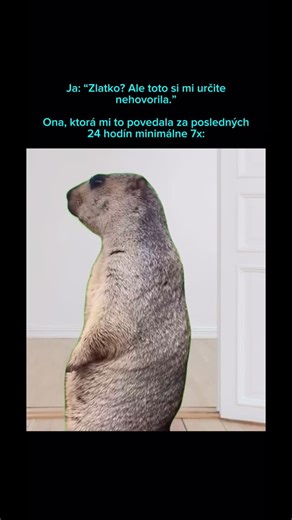 Myšlienky tatka | Dexter | Tatko Vlado on Instagram: "Pamäť chlapov doma je kapitola sama o sebe – akoby im príroda nahrala do hlavy špeciálny čip s obmedzenou kapacitou na domáce povinnosti. Žena poviem sedemkrát denne: “Nezabudni vyniesť smeti!” – ráno, popri umývaní zubov, na obed, medzi dvoma schôdzkami, pred spaním ako poslednú modlitbu. Chlap prikývne, zahmuká “hej”, alebo predvedie perfektne koordinované “jasné, viem”, no smeti veselo trónia pod drezom naďalej. 🗑️ Mužský mozog má totiž z