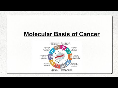 Molecular Basis of Cancer Part 1: Oncogenes