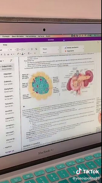 Responder a @isaisupg Así empiezas a escribir, espero que te funcione 💛