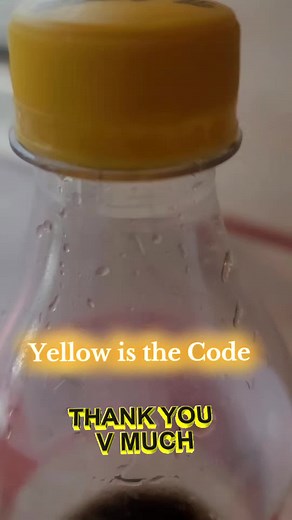 Yellow is the Code: Trinidad Elections Explained
