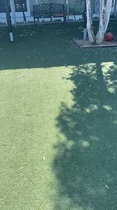 17 reactions · 3 comments | LA Animal Services is continuing to provide enrichment for our animals through our Boredom Busters program. Milo (#A1941012) is having fun running around the play yard!  Milo is 2-years-old and weighs 48-lbs. If you are interested in adopting or fostering Milo, please contact our Chesterfield Square Center. LA Animal Services would like to thank our staff for their continued dedication and the community for their ongoing support. | LA Animal Services | Facebook