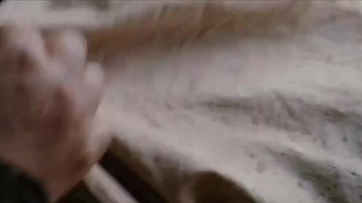 Przygodowy. 2008. Reed Cliff I. lektor