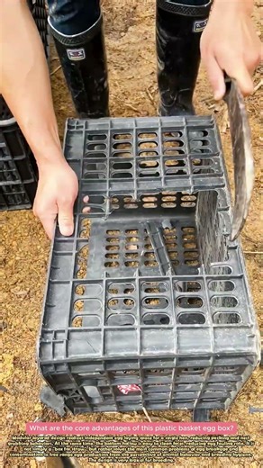 DIY Chicken Nesting Boxes From Recycled Plastic Crates
