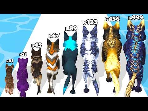 WOLF EVOLUTION RUN GAME - Level Up Wolf Max Level Gameplay (Wolf Run Evolution Games)