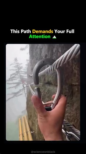 Science On Black on Instagram: "Carved directly into a sheer cliff, the Tengyun Plank Path exists not to impress, but to slow you down. Built centuries ago to connect remote Taoist temples and meditation sites, this path followed a belief that isolation and effort sharpen awareness. Difficulty wasn’t a flaw — it was the point. The walkway clings to the rock face, suspended between stone and sky. Clouds often drift below your feet, wind replaces noise, and every step requires intention. Historica