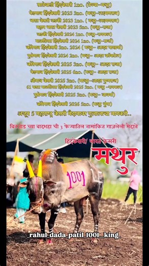 बिनजोड च्या बादशहा ची 3 फेऱ्यातिल नामांकित गाजलेली मैदाने👑💥#trending #reels #shortvideo #mathur1001