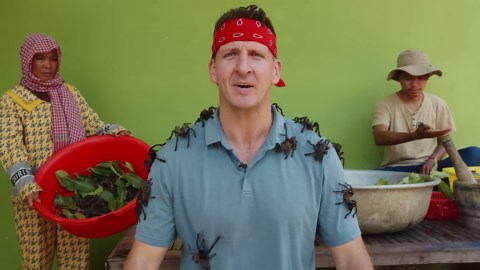 Tarantula Catch & Cook!! 10 Levels of Bug Eating in Asia