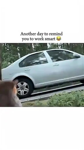 English Movie 🎥 (@english.movie81)’s videos with original sound - English Movie 🎥