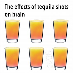 Which shot best describes you? | 9GAG