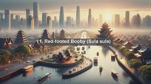 Discover the Avian Wonders: Top 10 Native Birds in United States Minor Outlying Islands