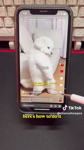 Cómo Hacer un Video de Perro Bailarín con Efectos AI