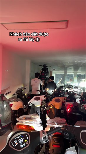 Khách Nhận Xe VinFast TKT Tại Hà Nội