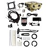 FITech Fuel Injection 36120: 36120 Go EFI Classic Gold 650 HP EFI System With Go Fuel 255 LPH In-Tank & Go Fuel Tight Fit Regulator Master Kit - JEGS