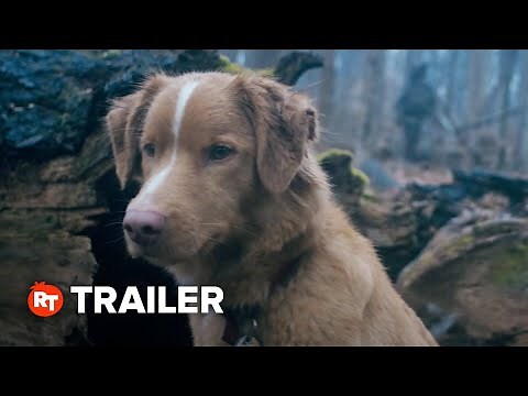 Good Boy Exclusive Trailer (2025)