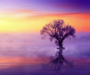 Purple Tree Live Wallpaper